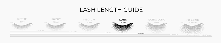 imPRESS Premium Lash: Demi Edgy